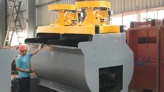 Design professionale del separatore di flottazione dell'azienda cinese