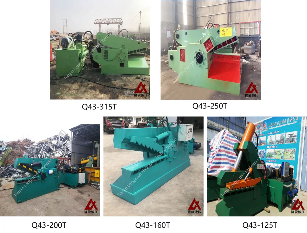 Hydraulic Cutting Machine/Crocodile Shearing Scissors/Scrap Metal Recycle Alligator Shear